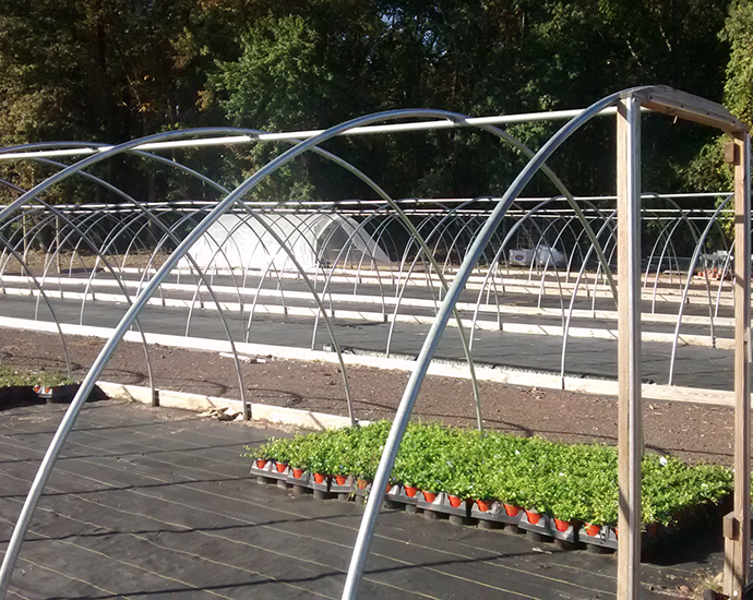 galvanized steel pipe for greenhouse.jpg